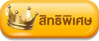 สิทธิพิเศษ สล็อต พักยก118